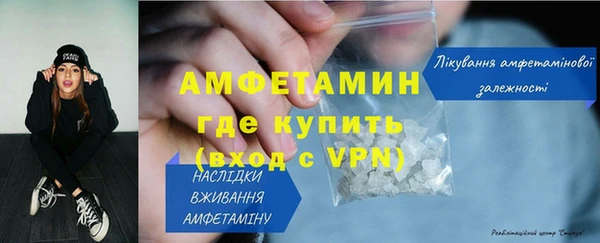 ГАЛЛЮЦИНОГЕННЫЕ ГРИБЫ Горняк