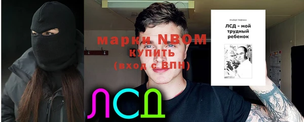 ГАЛЛЮЦИНОГЕННЫЕ ГРИБЫ Горняк