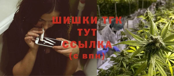 альфа пвп Горнозаводск