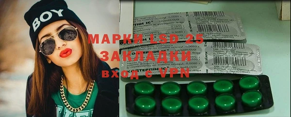 ГАЛЛЮЦИНОГЕННЫЕ ГРИБЫ Горняк