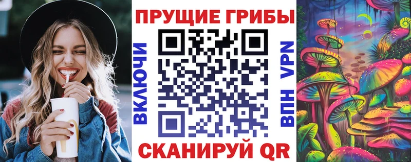 закладки  Невьянск  Галлюциногенные грибы Magic Shrooms 